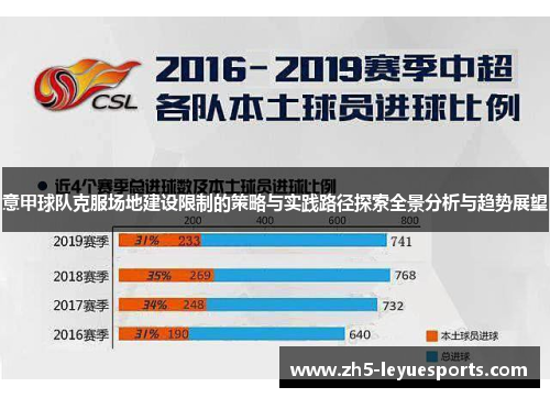 意甲球队克服场地建设限制的策略与实践路径探索全景分析与趋势展望