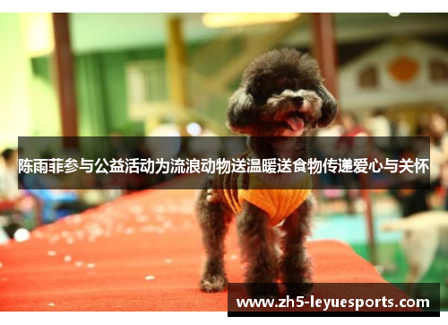 陈雨菲参与公益活动为流浪动物送温暖送食物传递爱心与关怀