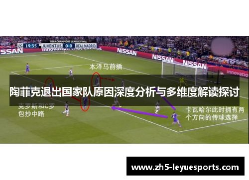 陶菲克退出国家队原因深度分析与多维度解读探讨