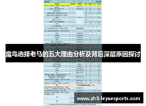 魔鸟选择老马的五大理由分析及背后深层原因探讨