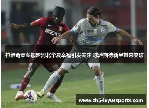 拉维奇高薪加盟河北华夏幸福引发关注 球迷期待新星带来突破 拉维奇高薪加盟河北华夏幸福引发关注 球迷期待新星带来突破